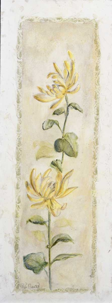 Garden delight-chrysantuemum art print by Julia Bonet for $57.95 CAD