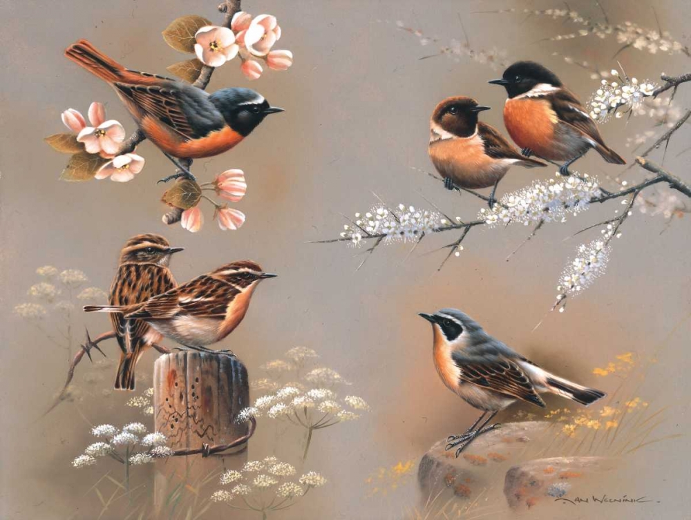 Bird composition art print by Jan Weenink for $57.95 CAD