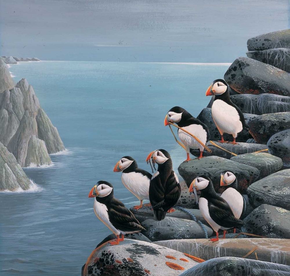 Pinguins art print by Jan Weenink for $57.95 CAD