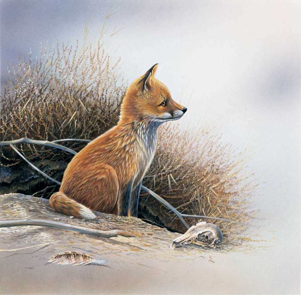 Little fox art print by Jan Weenink for $57.95 CAD