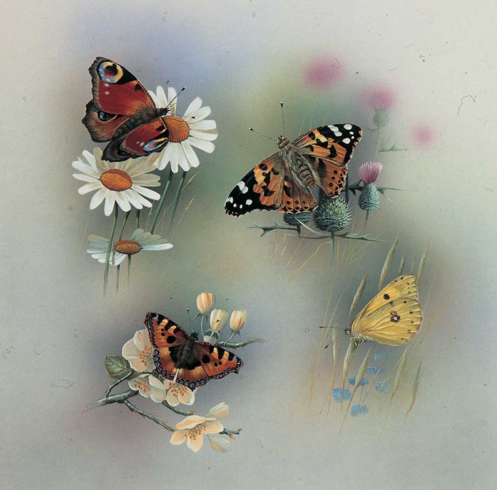 Butterfly composition art print by Jan Weenink for $57.95 CAD