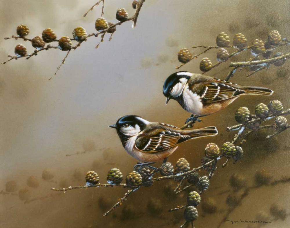 Two birds on branch art print by Jan Weenink for $57.95 CAD