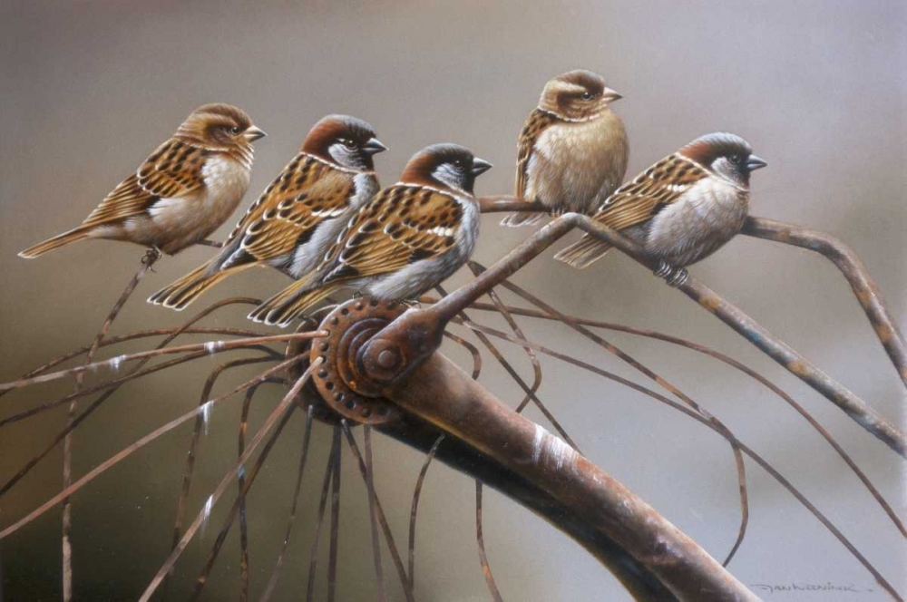 Birds on a broken bicycle art print by Jan Weenink for $57.95 CAD
