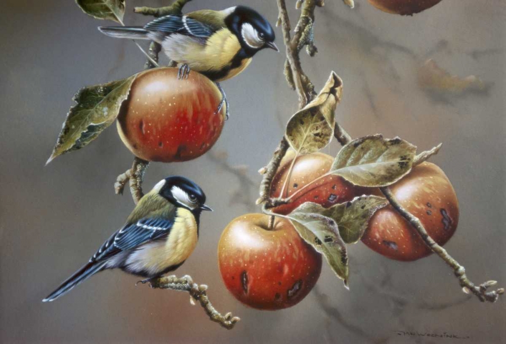 Two birds with apples art print by Jan Weenink for $57.95 CAD