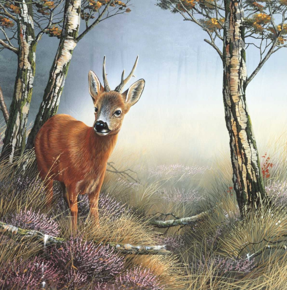 Deer in forest art print by Jan Weenink for $57.95 CAD