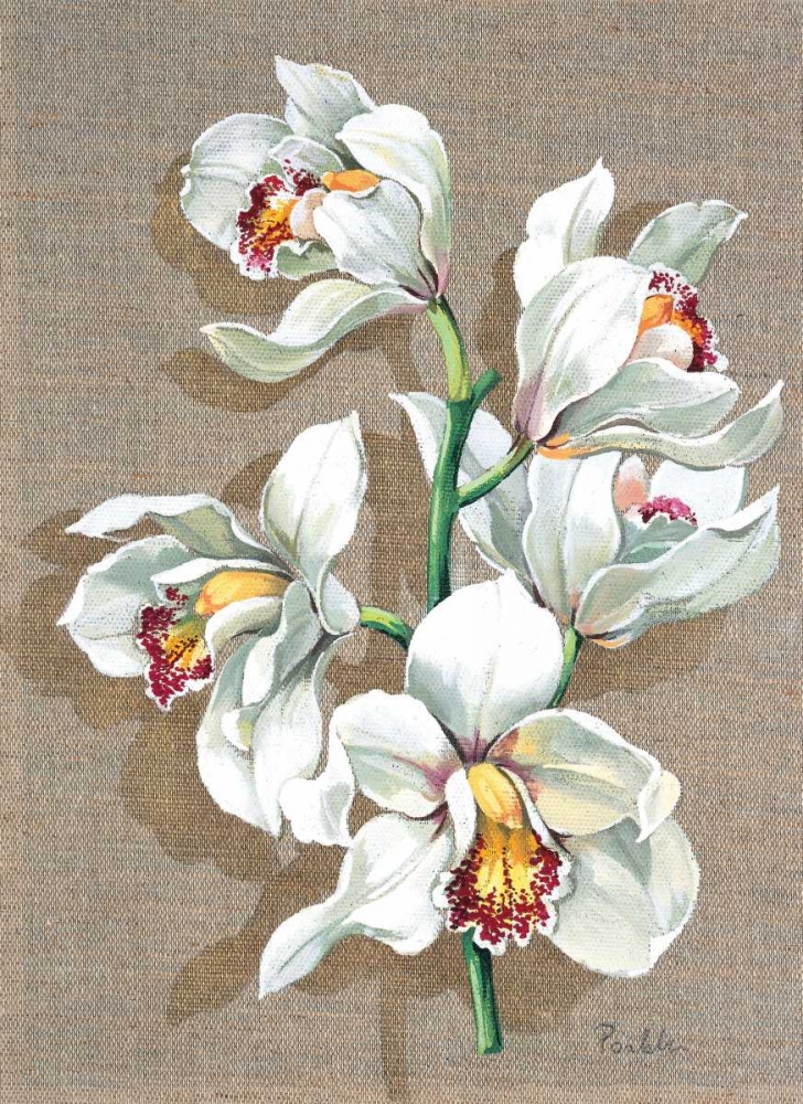 Pretty floral I art print by Krysztov Kumorek for $57.95 CAD