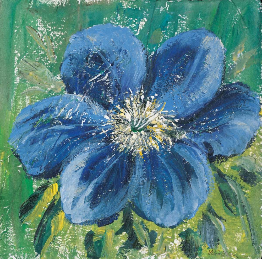 Meconopsis art print by Katharina Schottler for $57.95 CAD