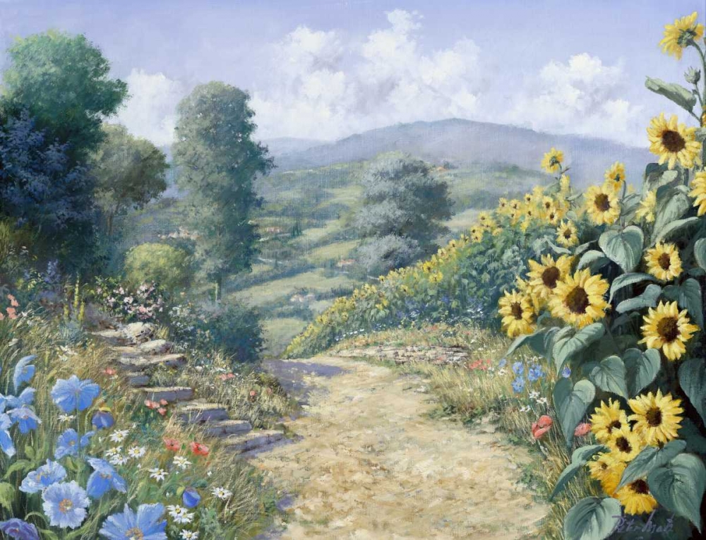 Along the sunflowers art print by Peter Motz for $57.95 CAD