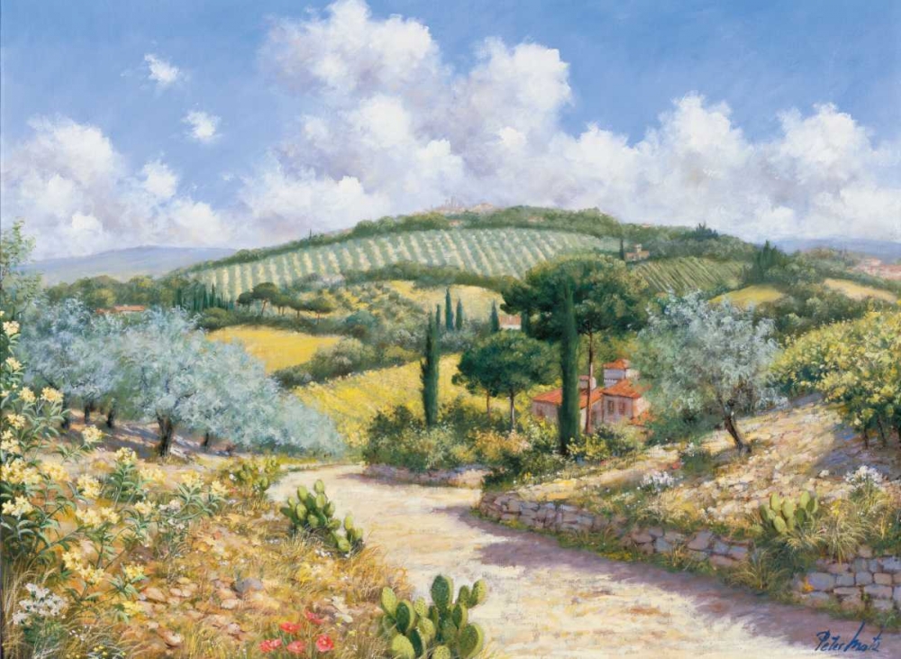 San Gimignano art print by Peter Motz for $57.95 CAD