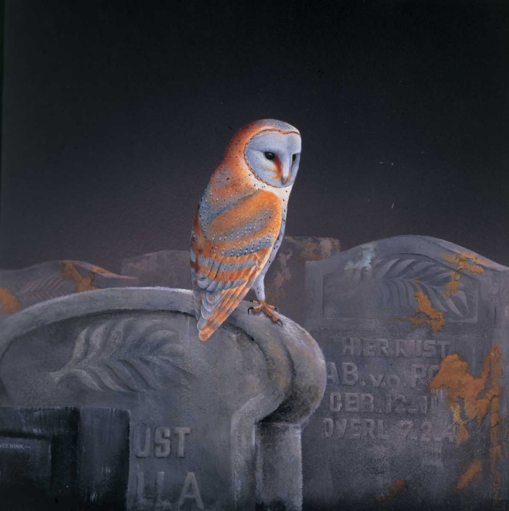 Grafeyard owl art print by Ruud Weenink for $57.95 CAD
