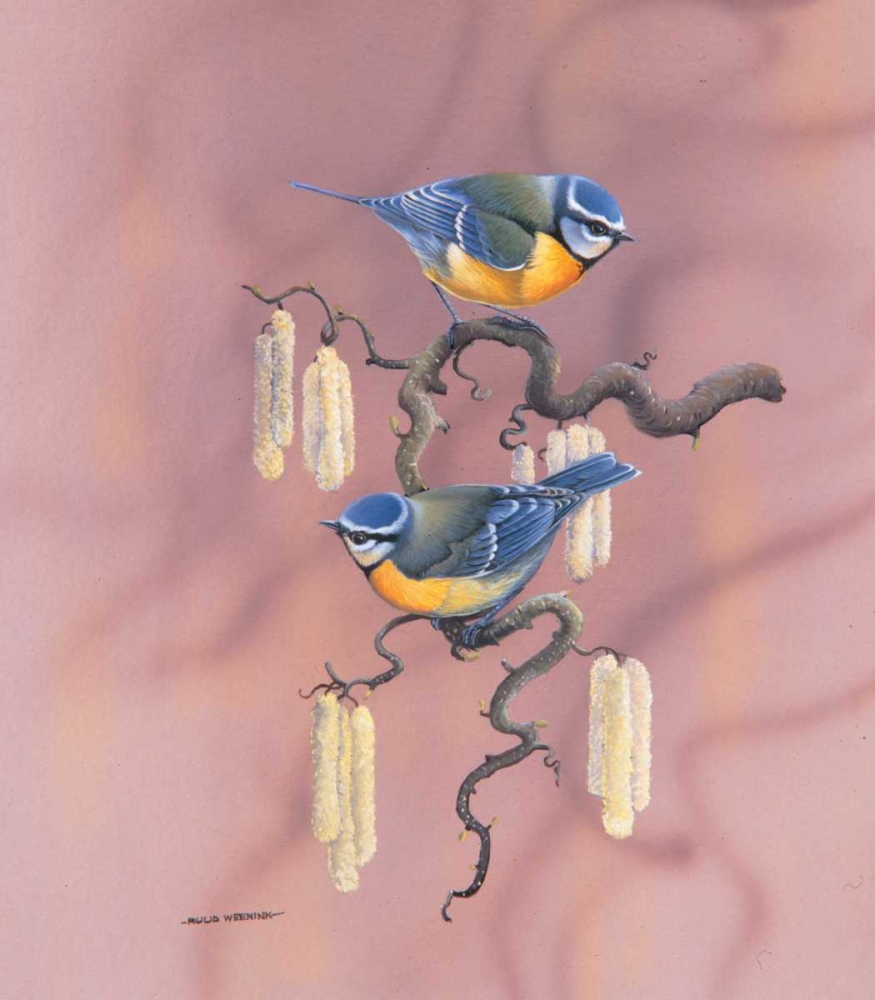 Birdy IV art print by Ruud Weenink for $57.95 CAD