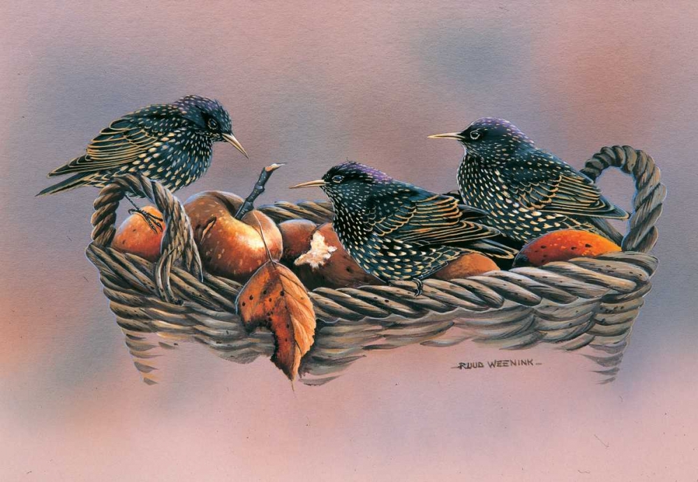 Family birds art print by Ruud Weenink for $57.95 CAD