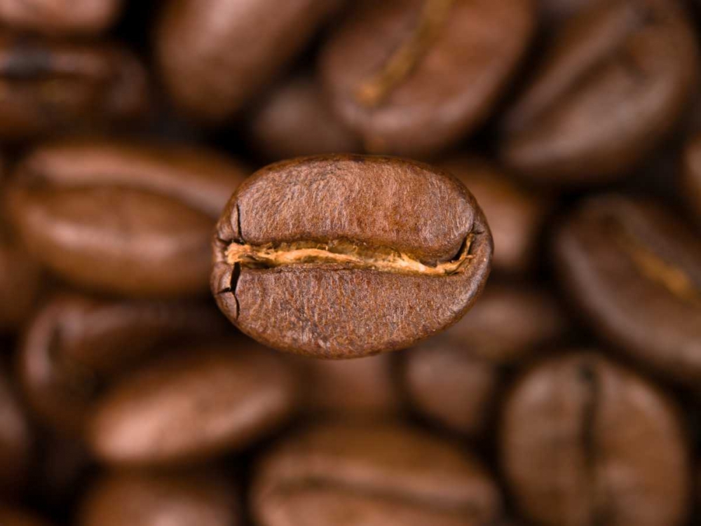 Top view of coffee beans art print by Assaf Frank for $57.95 CAD