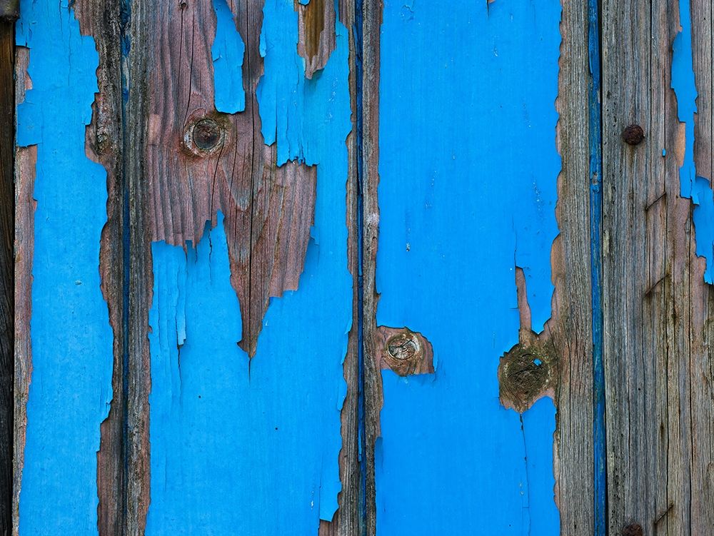 Paint on old door surface art print by Assaf Frank for $57.95 CAD