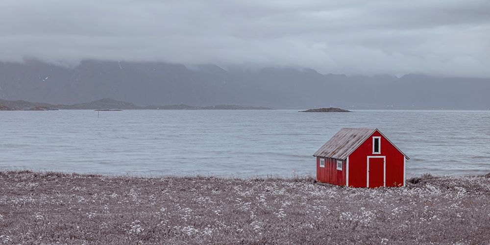 Beach hut on Lofoten coastline - Norway art print by Assaf Frank for $57.95 CAD