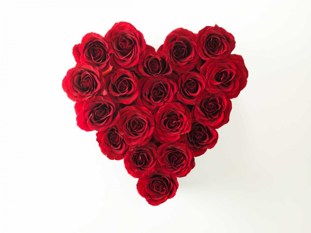 Rose flowers in heart shape art print by Assaf Frank for $57.95 CAD