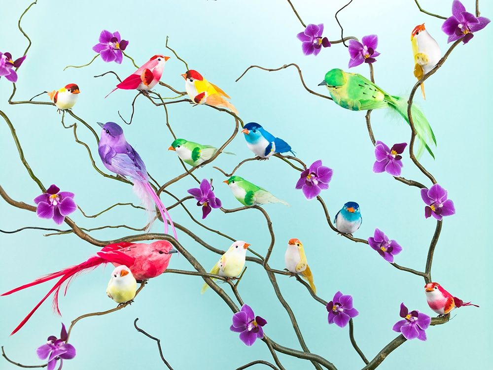 Fake birds on branches art print by Assaf Frank for $57.95 CAD