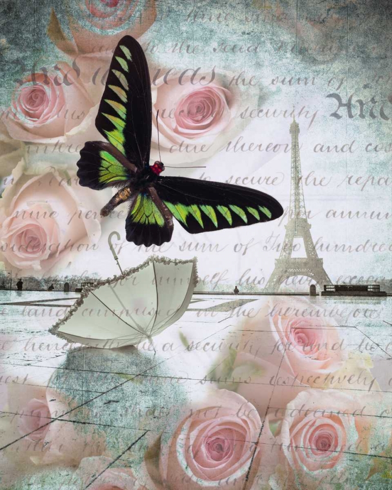 Eiffel tower with butterfly and roses overlay art print by Assaf Frank for $57.95 CAD