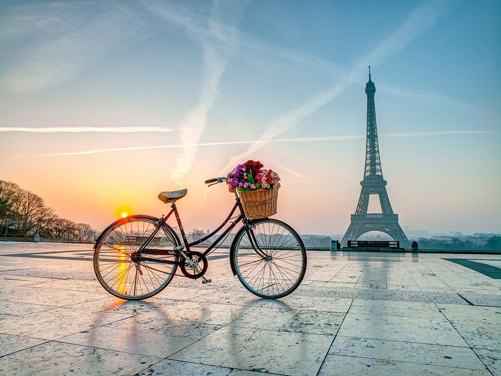 Bicycle and Eiffel tower art print by Assaf Frank for $57.95 CAD