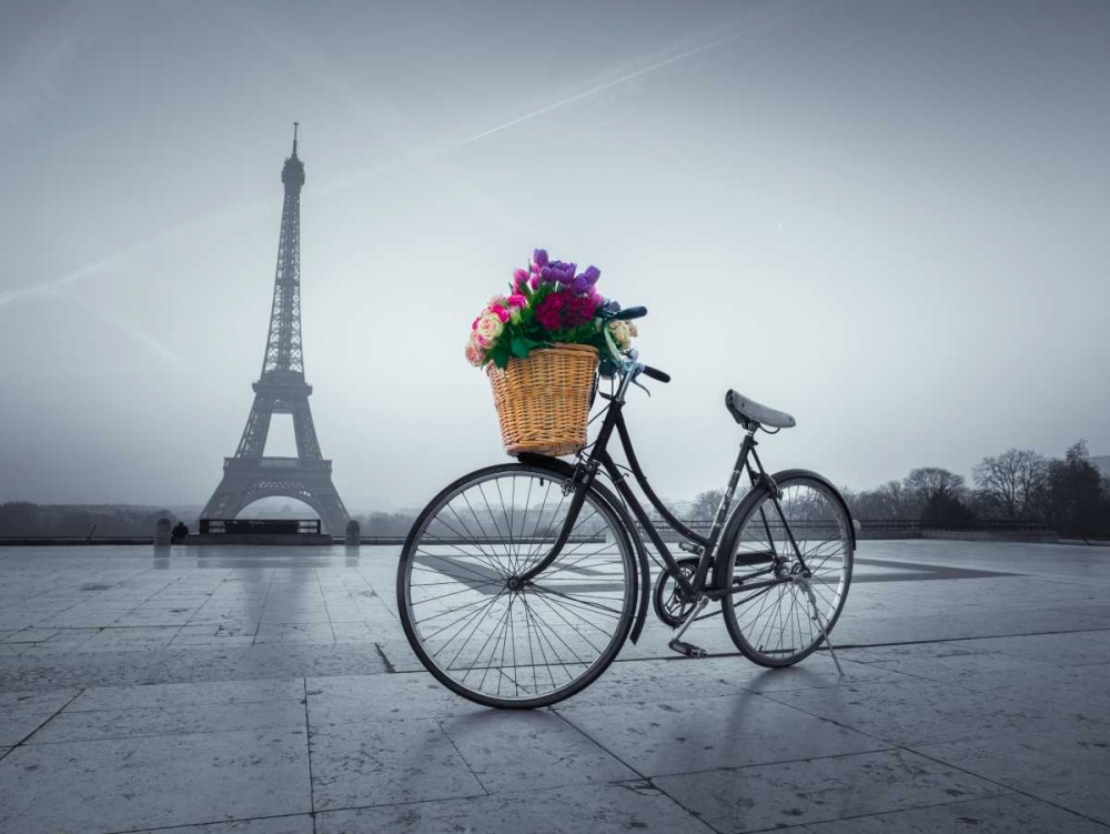 Bicycle with a basket of flowers next to the Eiffel tower, Paris, France art print by Assaf Frank for $57.95 CAD