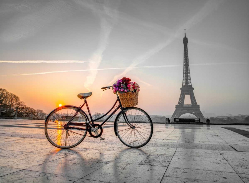 Bicycle with a basket of flowers next to the Eiffel tower, Paris, France art print by Assaf Frank for $57.95 CAD