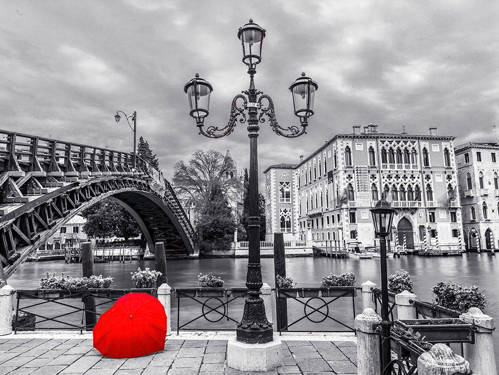 Accademia Bridge-Venice art print by Assaf Frank for $57.95 CAD