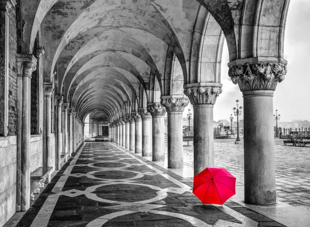 Bunch of Roses and an umbrella on a bench, Venice, Italy art print by Assaf Frank for $57.95 CAD