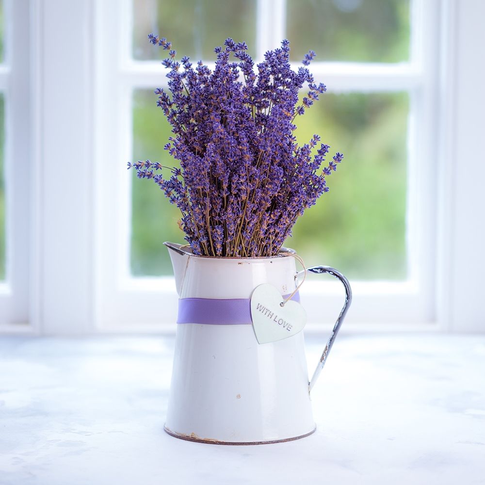 Bunch of lavender in antique jug by the window - Indoors art print by Assaf Frank for $57.95 CAD