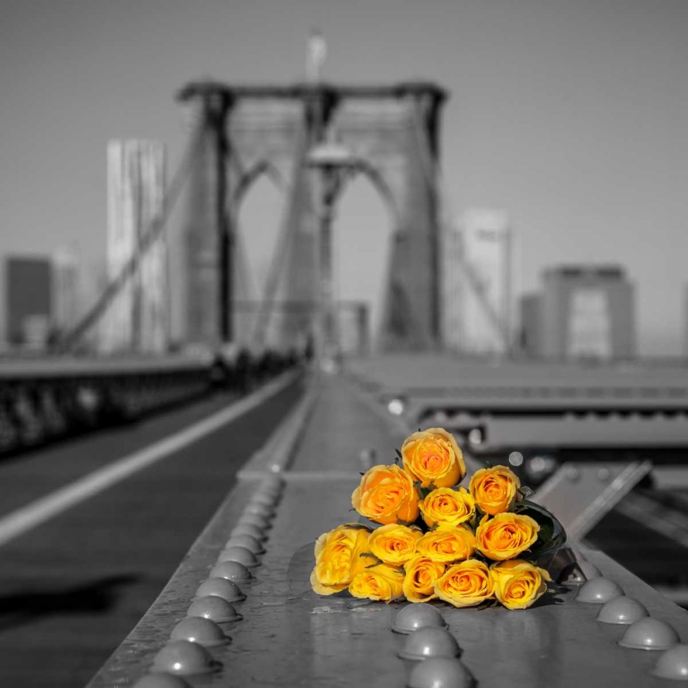 Bunch of roses on Brooklyn Bridge, New York art print by Assaf Frank for $57.95 CAD