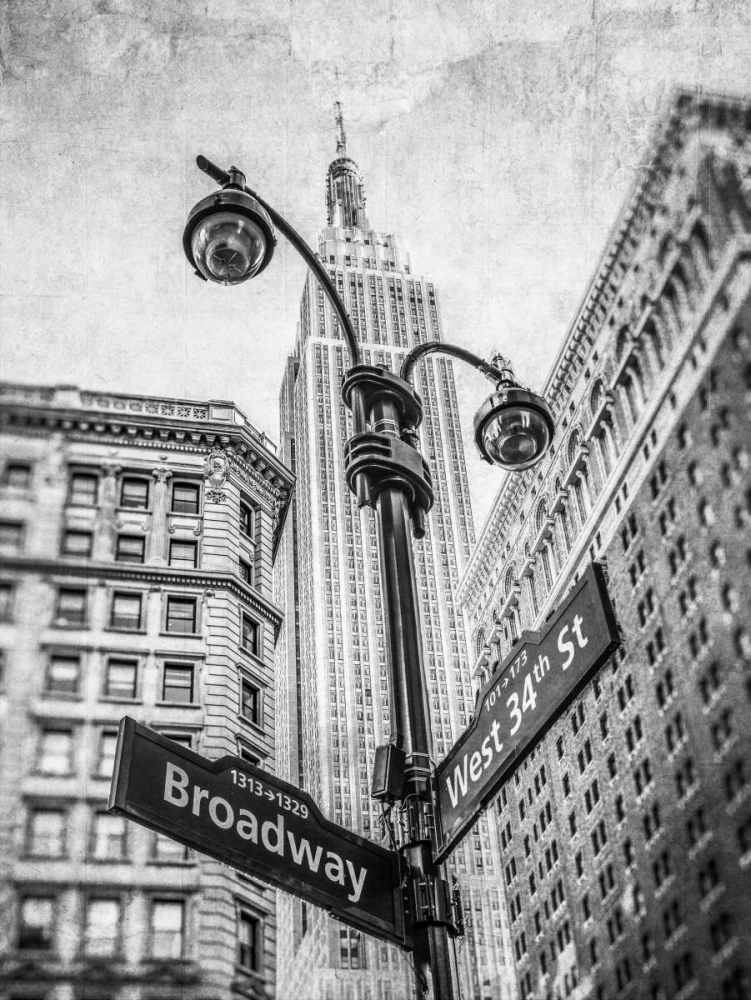Street lamp and street signs with Empire State building in background - New York art print by Assaf Frank for $57.95 CAD