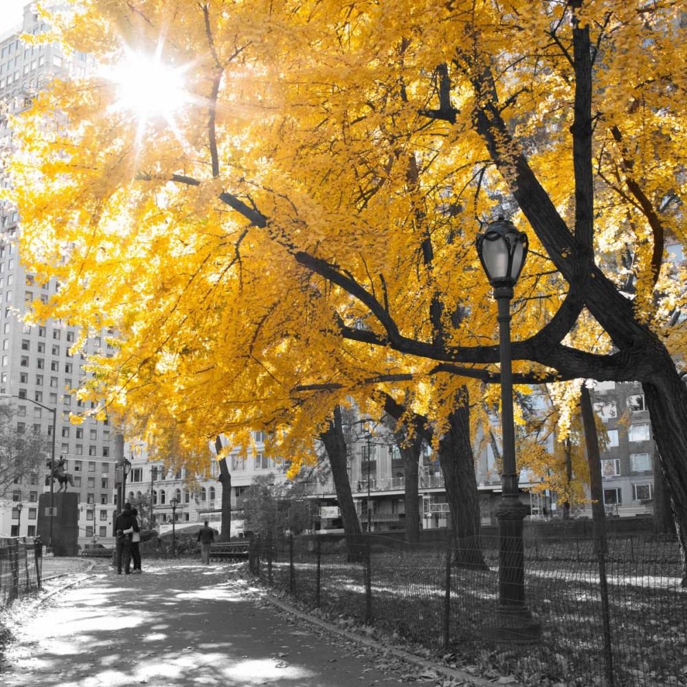 AF20131119 New York 1316C04 art print by Assaf Frank for $57.95 CAD