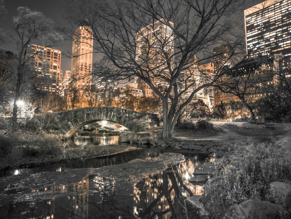 Evening view of Central Park in New York City art print by Assaf Frank for $57.95 CAD