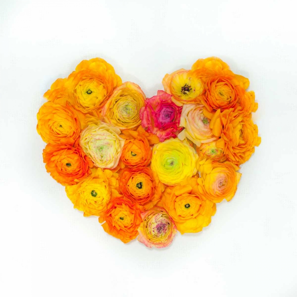 Heart made of flowers art print by Assaf Frank for $57.95 CAD