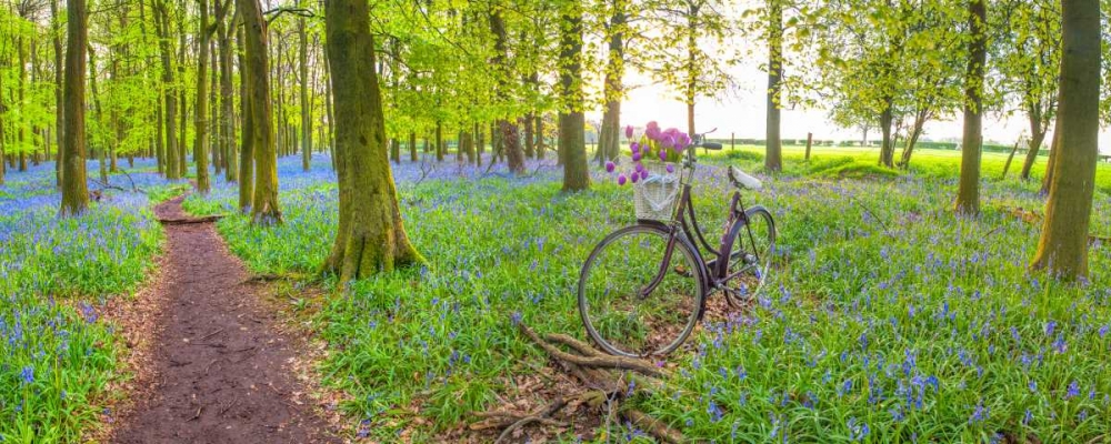 Bicycle in spring forest with bunch of flowers art print by Assaf Frank for $57.95 CAD