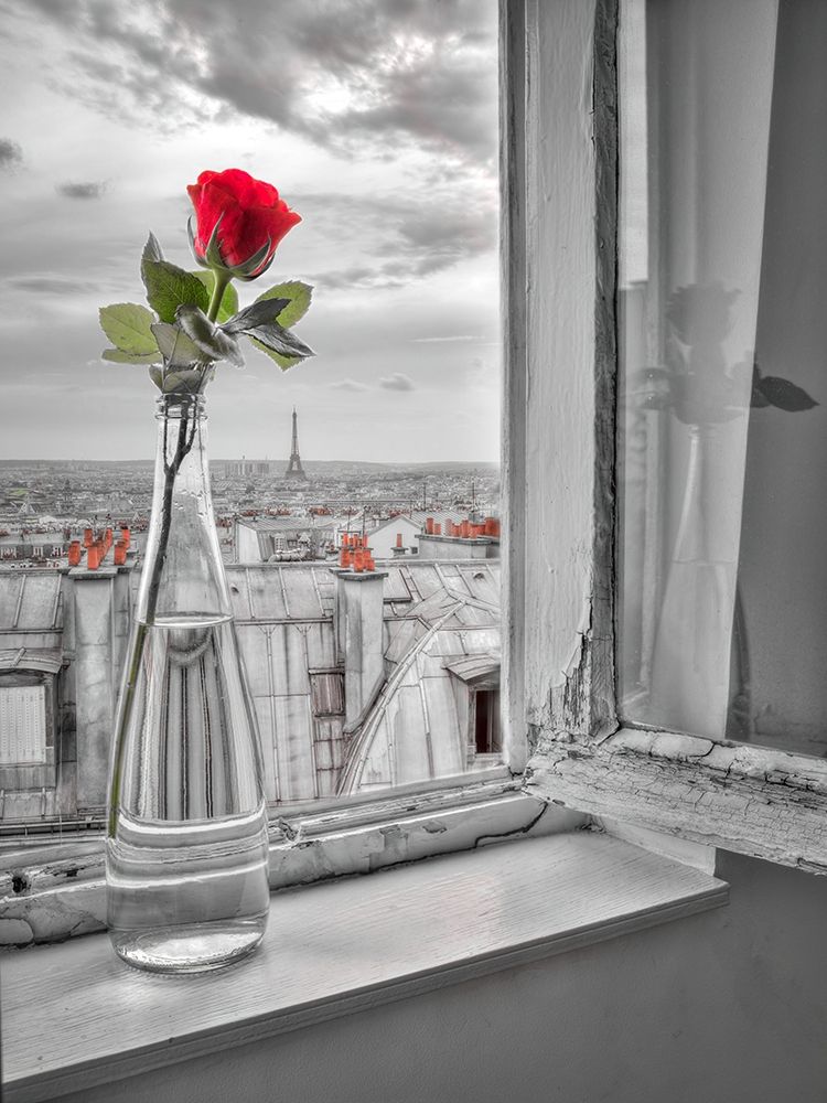 Flower vase on window with Eiffle tower in background-Paris art print by Assaf Frank for $57.95 CAD