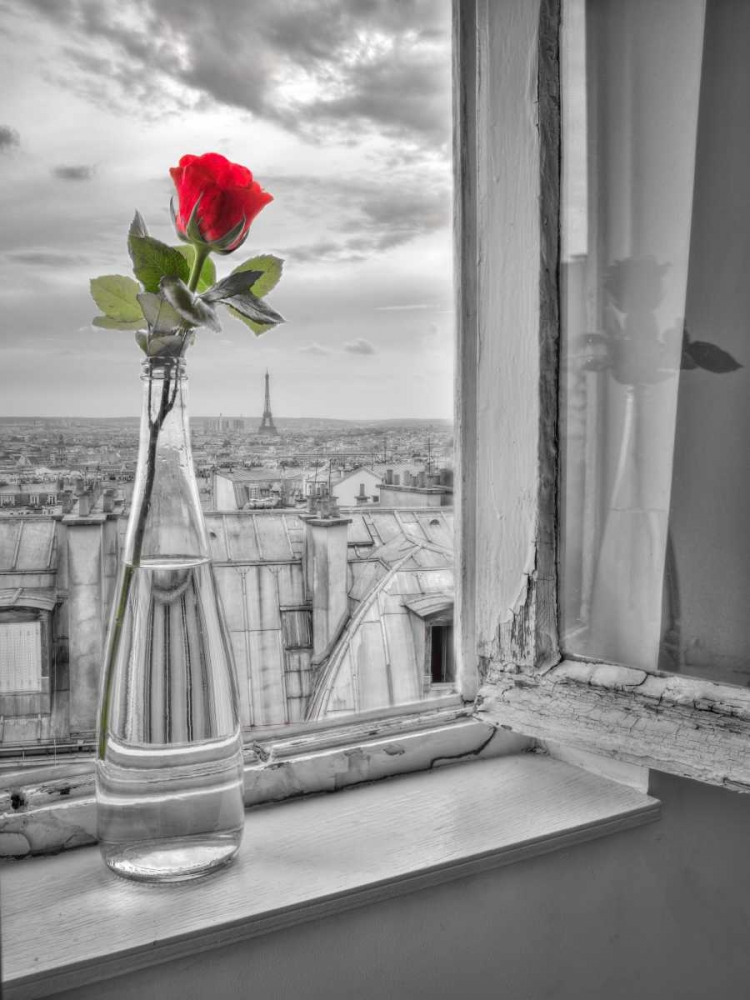 Flower vase on window with Eiffle tower in background, Paris art print by Assaf Frank for $57.95 CAD