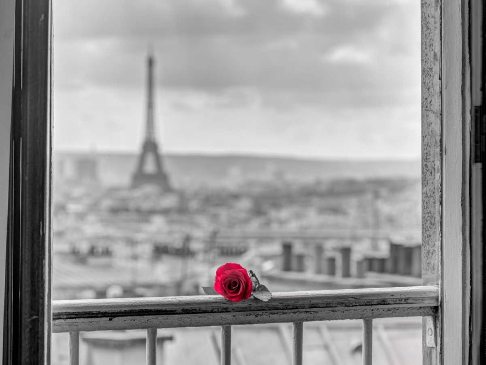 Rose on balcony railing with Eiffel Tower in background, Paris, France art print by Assaf Frank for $57.95 CAD