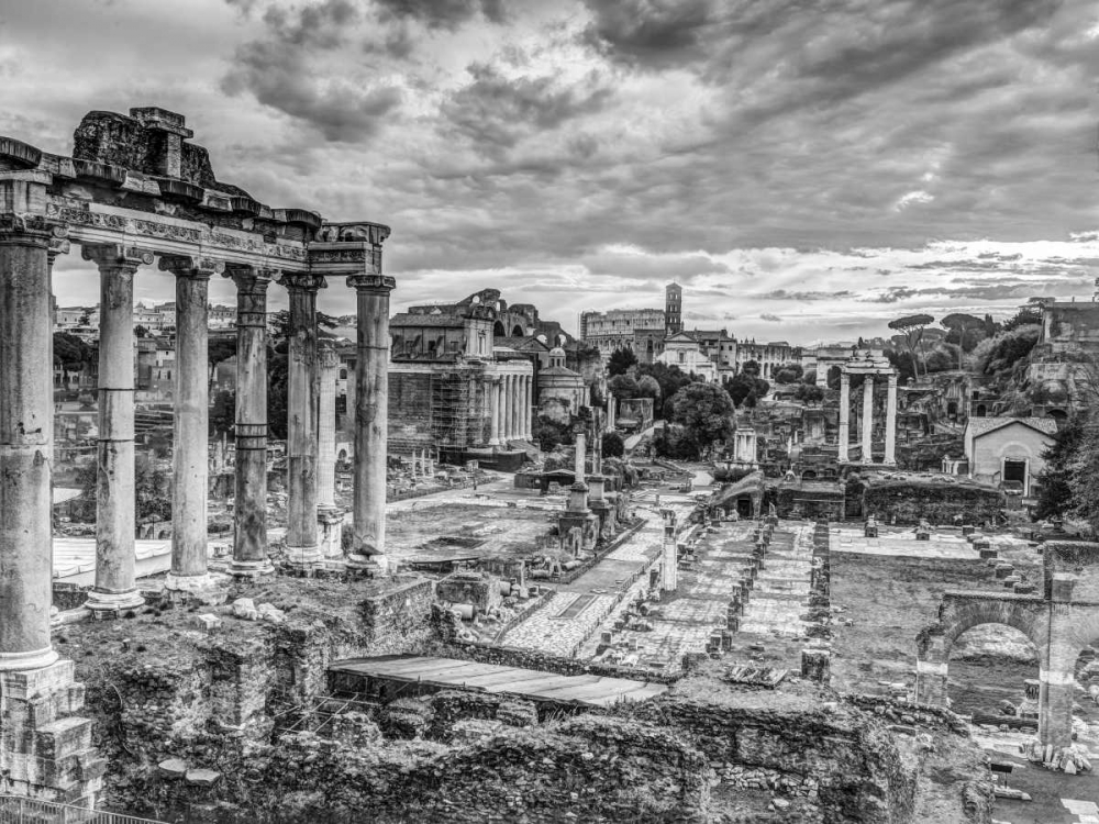 Ruins of the Roman Forum, Rome, Italy art print by Assaf Frank for $57.95 CAD
