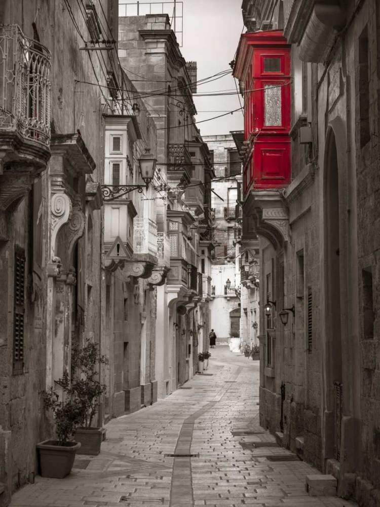 Narrow street through traditional maltese houses in Birgu, Malta art print by Assaf Frank for $57.95 CAD