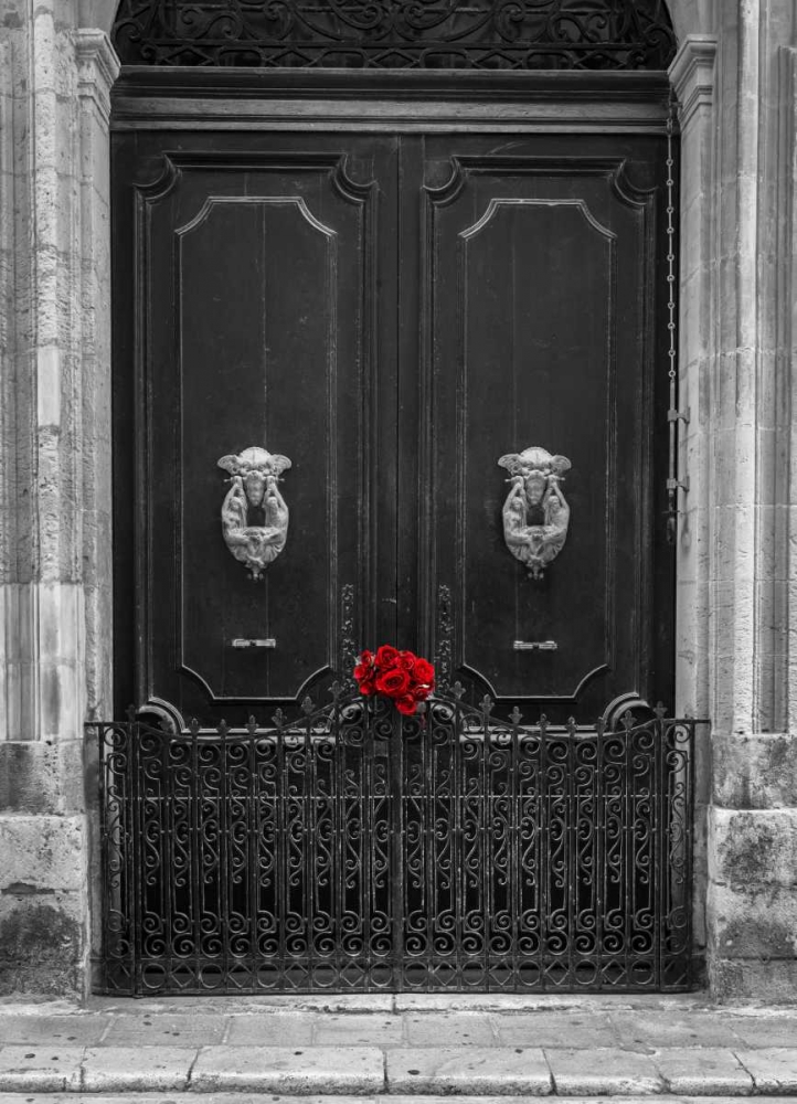 Bunch of roses on door of a house in Mdina, Malta art print by Assaf Frank for $57.95 CAD