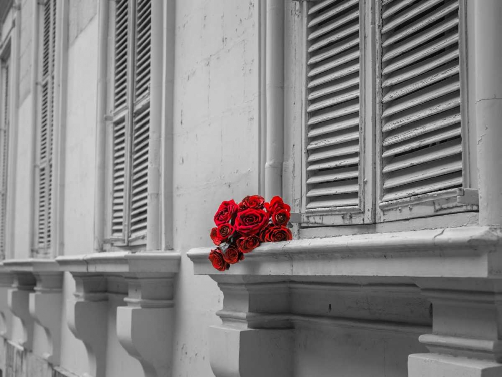 Bunch of roses on window of a house in Mdina, Malta art print by Assaf Frank for $57.95 CAD