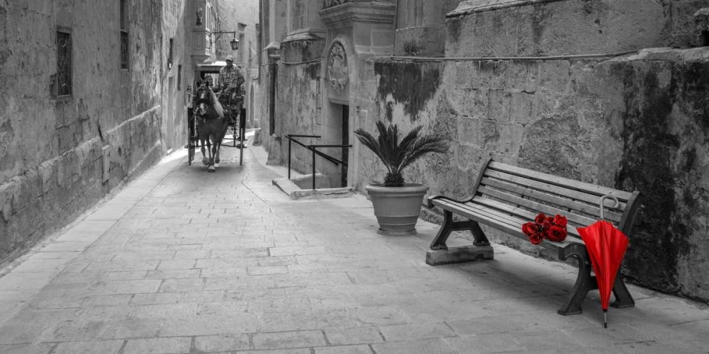 Umbrella with bunch of roses on bench, Mdina, Malta art print by Assaf Frank for $57.95 CAD