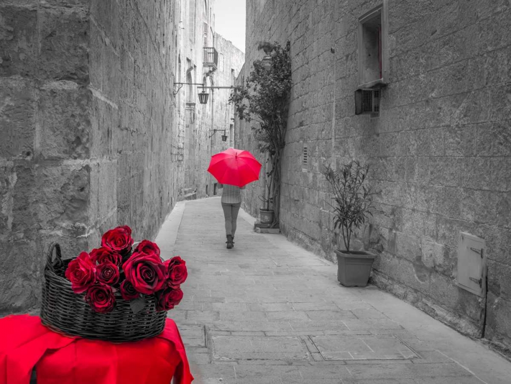 Tourist with umbrella walking through narrow lanes of Mdina with red roses in front, Malta art print by Assaf Frank for $57.95 CAD