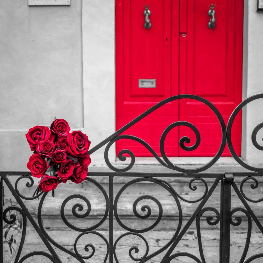 Bunch of roses on iron gate of an old house in Mdina, Malta art print by Assaf Frank for $57.95 CAD
