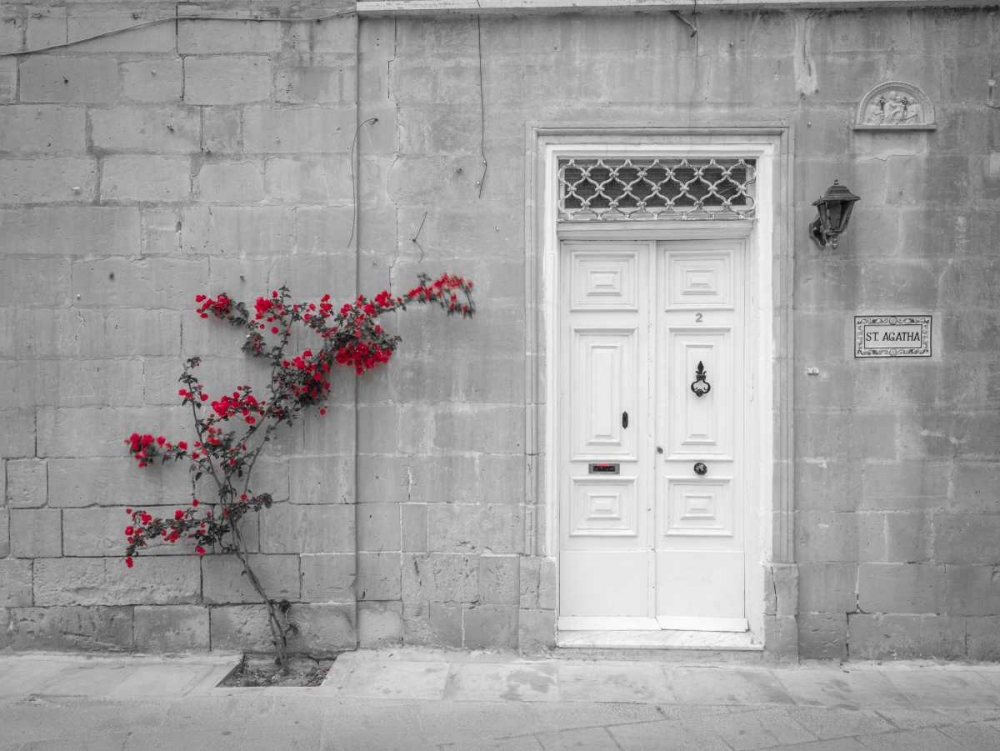 Old wooden door on house in Mdina, Malta art print by Assaf Frank for $57.95 CAD