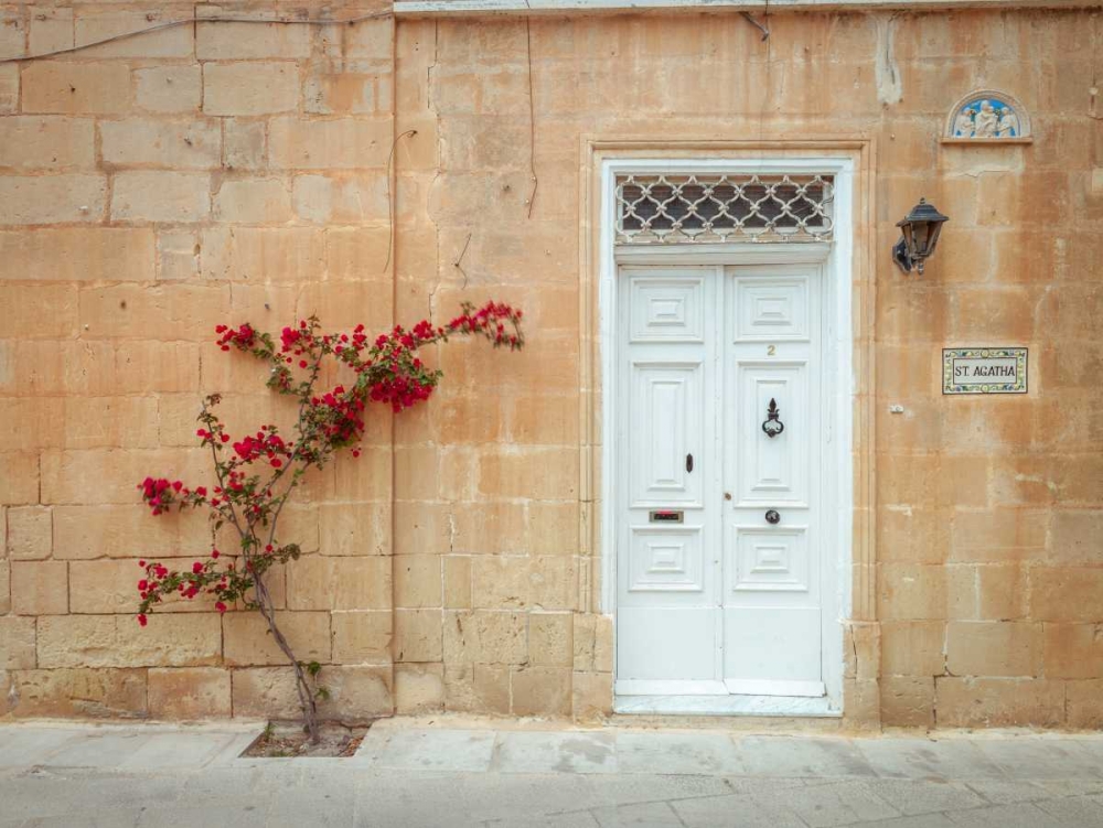 Old wooden door on house in Mdina, Malta art print by Assaf Frank for $57.95 CAD