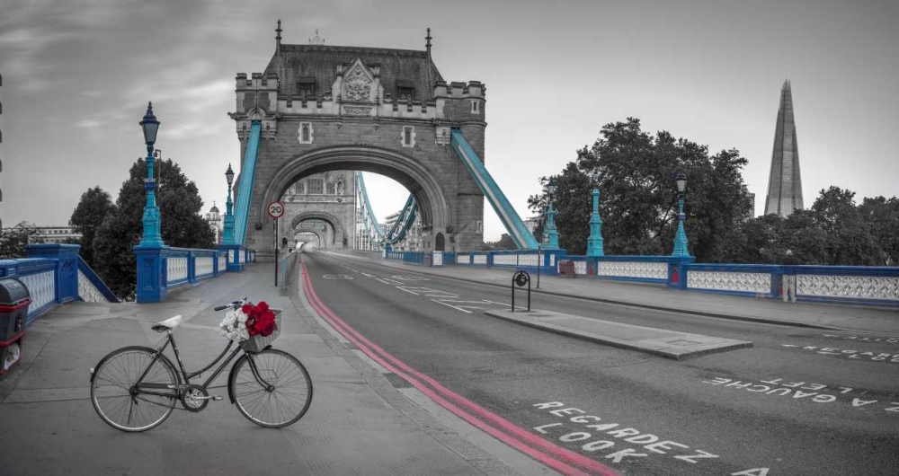 Bunch of roses on a bicycle near Tower Bridge, London, UK art print by Assaf Frank for $57.95 CAD