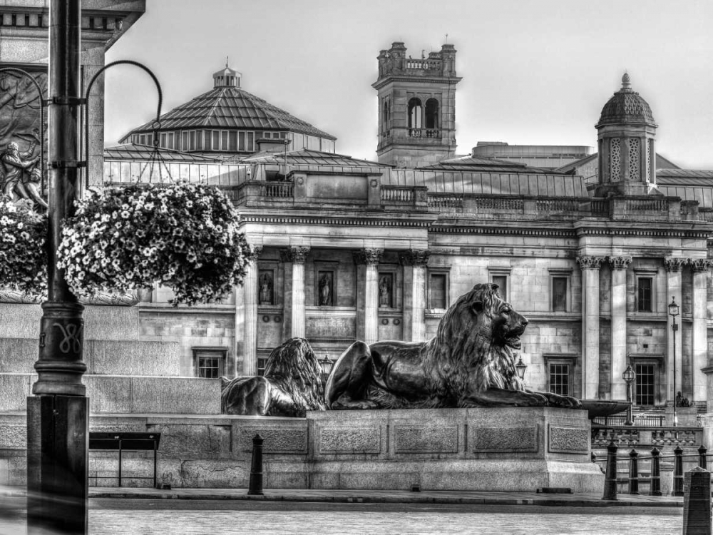 Trafalgar Square, London, UK art print by Assaf Frank for $57.95 CAD