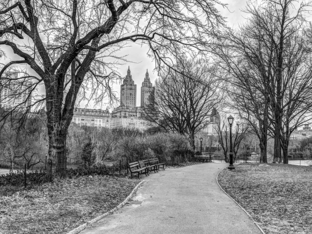 Central park with Manhattan skyline, New York art print by Assaf Frank for $57.95 CAD