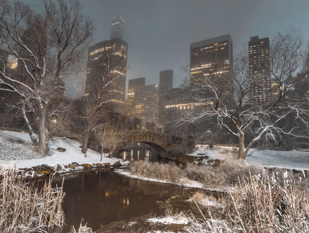 Central park with Manhattan skyline, New York art print by Assaf Frank for $57.95 CAD